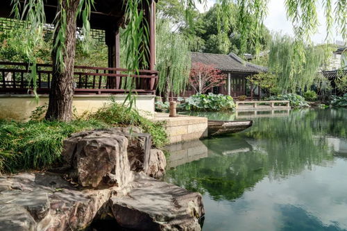 蘇州7個小眾園林｜0元打卡，人少景美免費游玩攻略